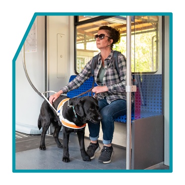 A person and their guide dog using public transport. 